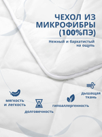 Одеяло для гостиницы кассетного типа (наполнитель: лебяжий пух 300гр/м2, чехол: микрофибра, 100% пэ)